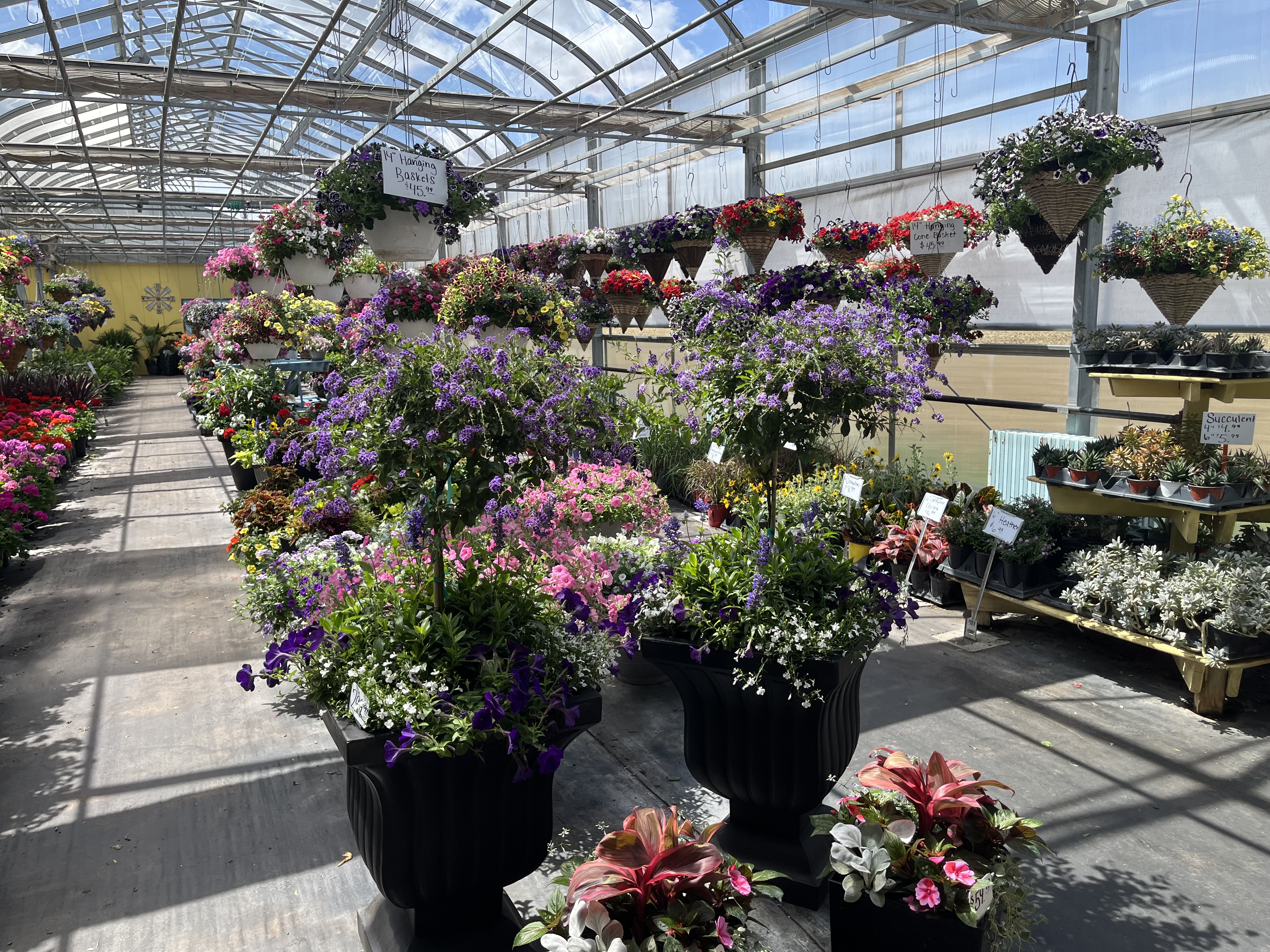 Garden photo